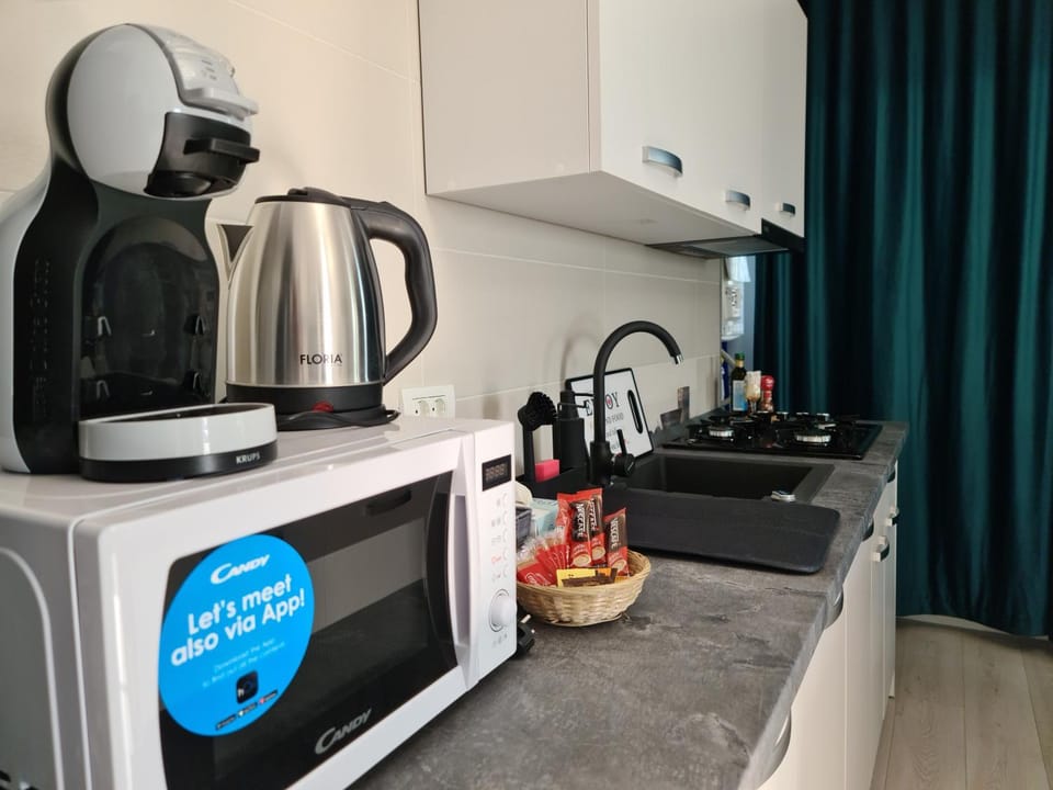 Coffee/tea facilities, Kitchen or kitchenette, minibar, stove, toaster