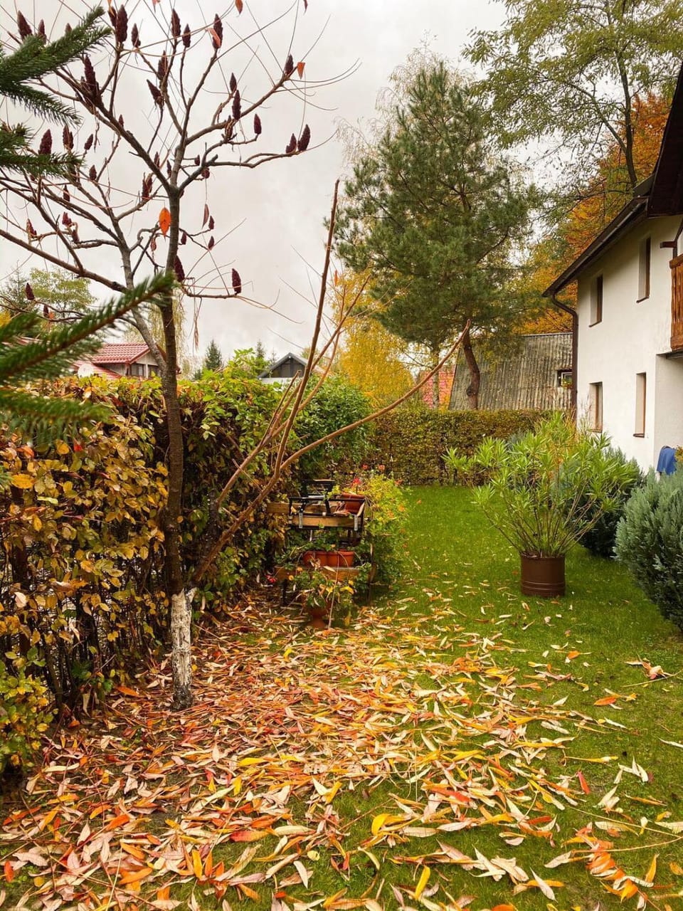 Property building, Natural landscape, Garden, Garden view