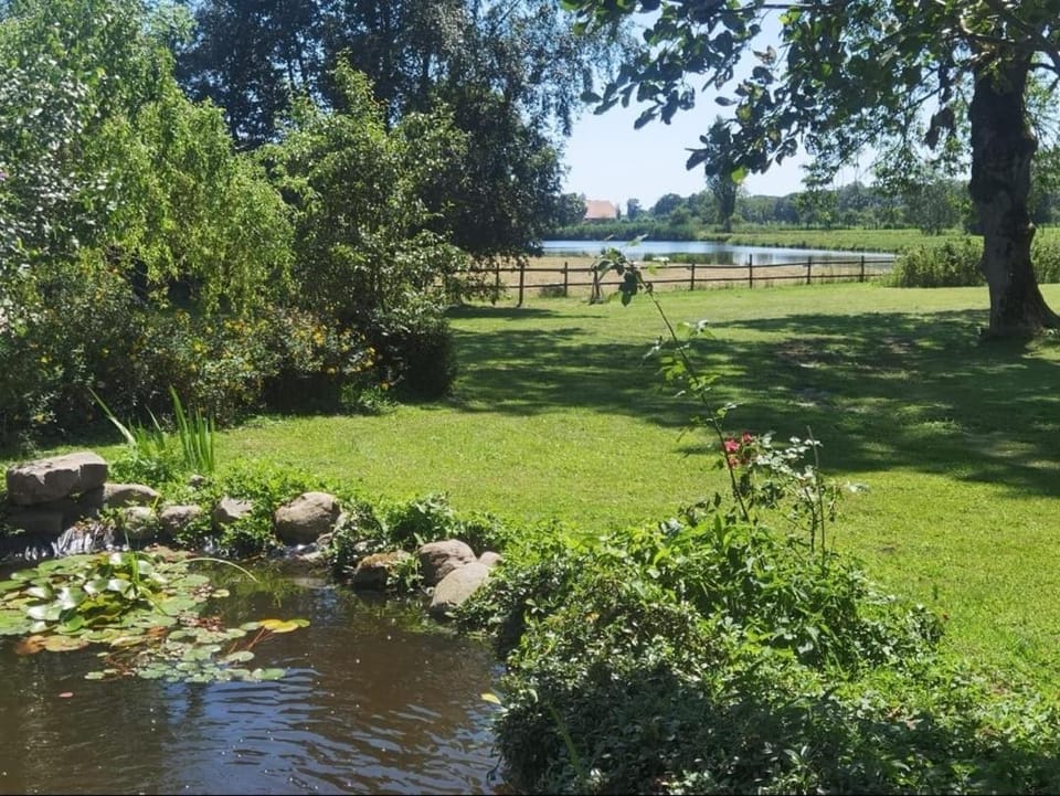Spring, Day, Natural landscape, Garden, Garden view, Lake view, River view