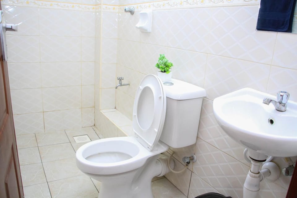 Toilet, Bathroom