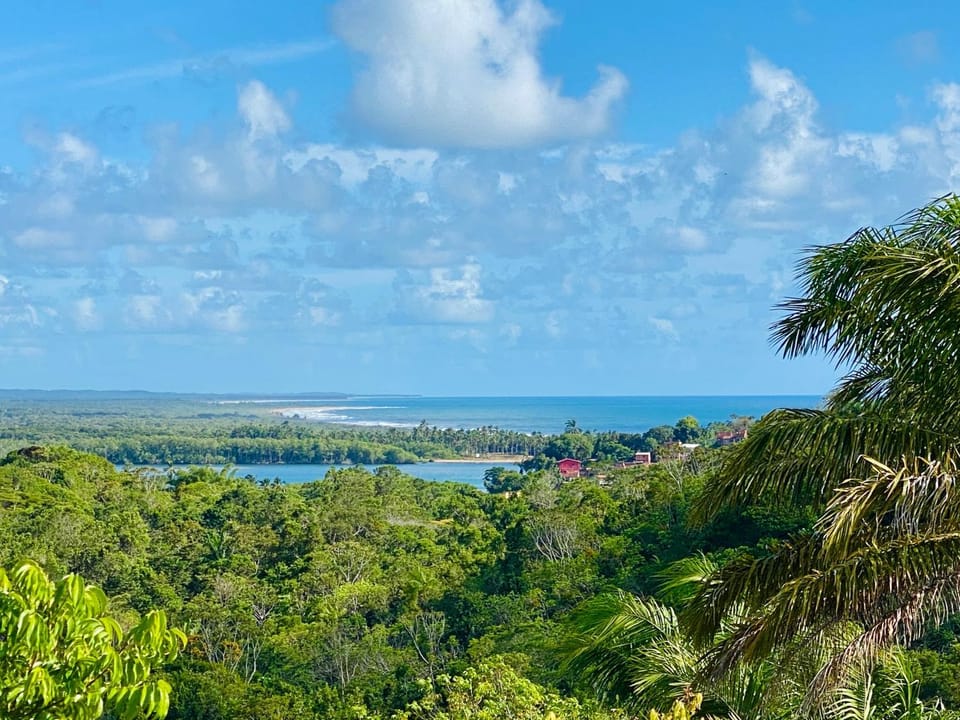 Natural landscape, River view, Sea view