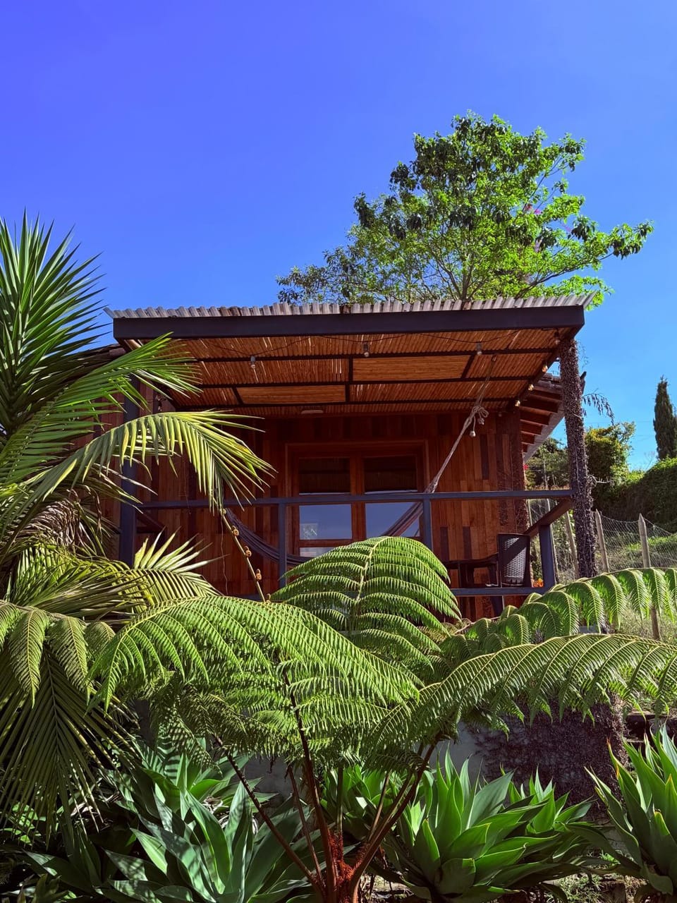 Spring, Garden, Garden view