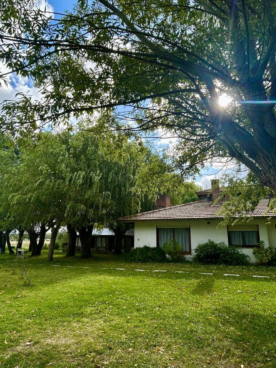 Natural landscape, Garden, Garden view