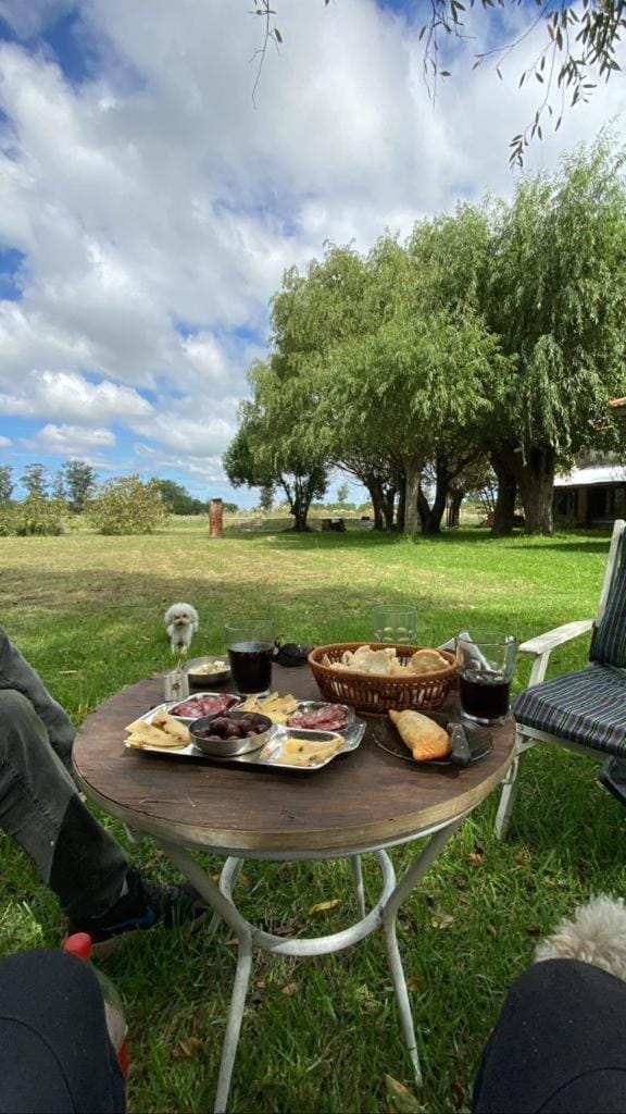 Garden, Seating area, Garden view