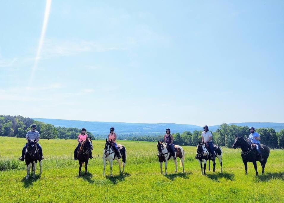 Horse-riding, Animals, group of guests