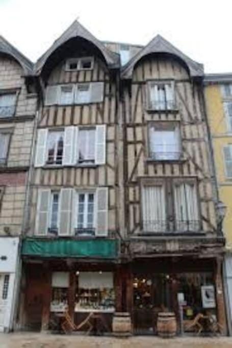 Cocoon standing - coeur historique de Troyes Apartment in Troyes