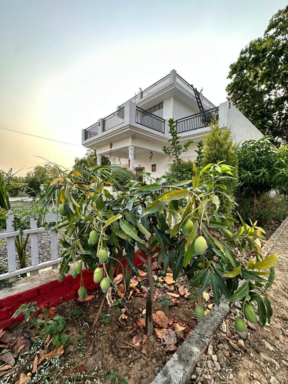 PRITHVI FOREST HOMESTAY Vacation rental in Uttarakhand