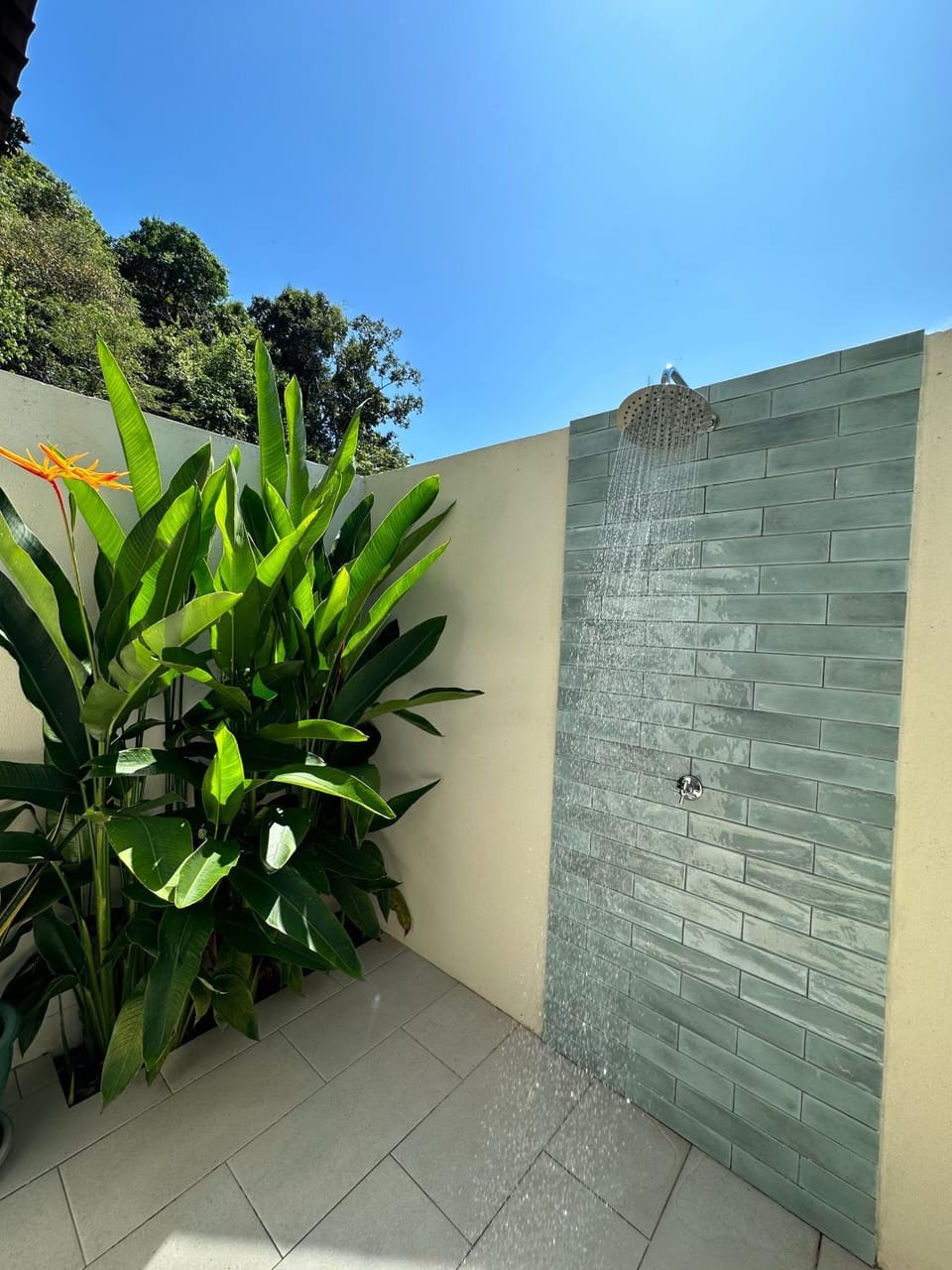 Shower