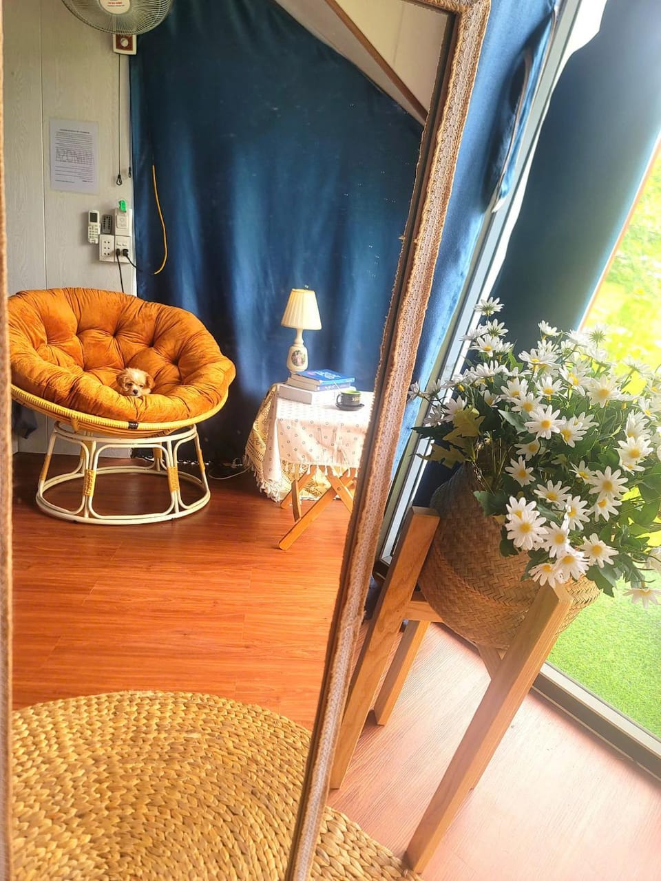 View (from property/room), Garden view
