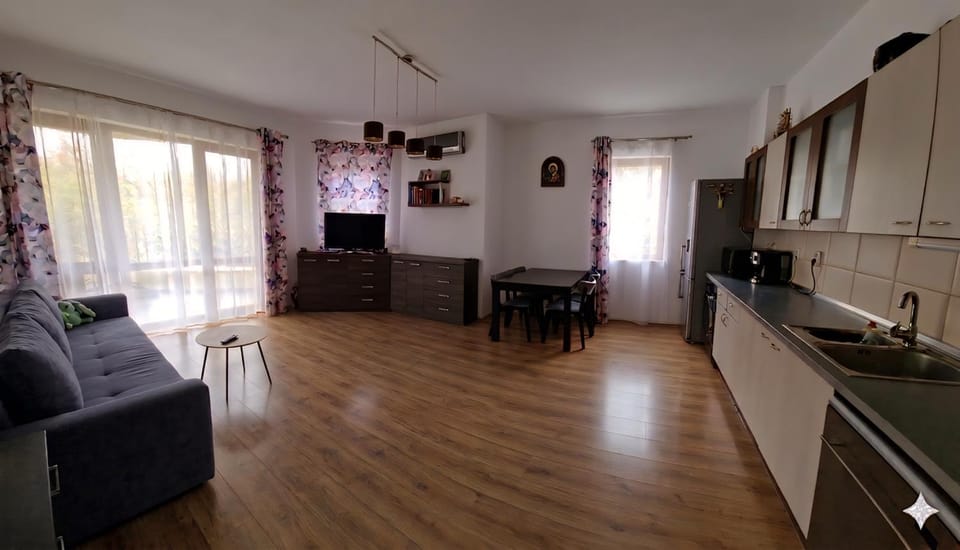 Kitchen or kitchenette, Living room, Seating area, Dining area