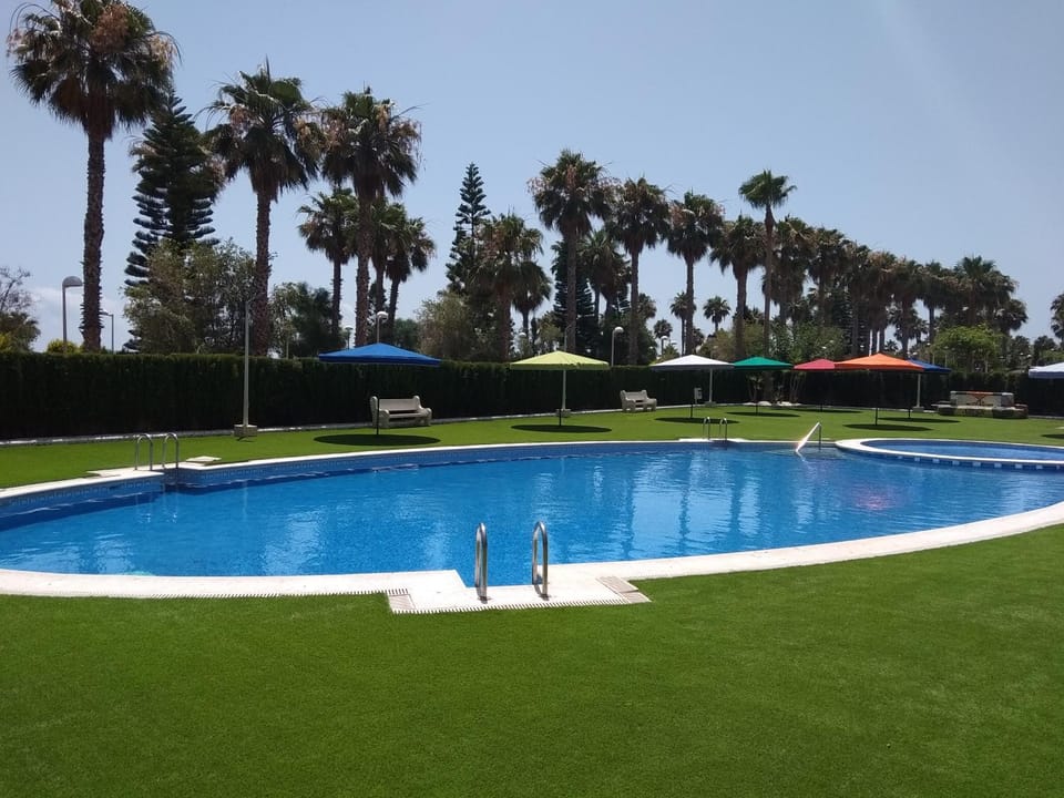 Swimming pool, Swimming pool