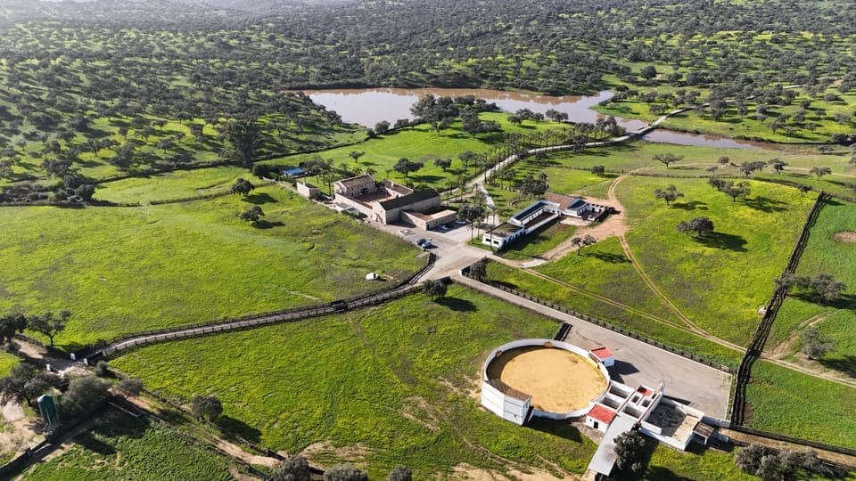 Nearby landmark, Spring, Day, Neighbourhood, Natural landscape, Bird's eye view, Fishing, Hiking, Lake view, River view, Street view