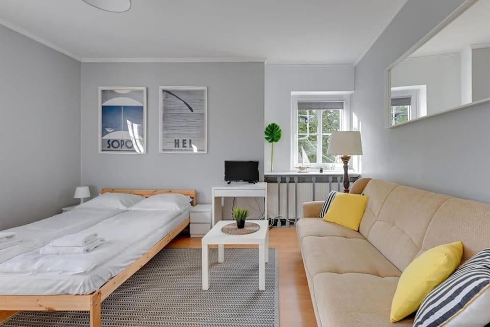 Bed, TV and multimedia, Living room, Photo of the whole room, Decorative detail, Seating area, Bedroom, Area and facilities
