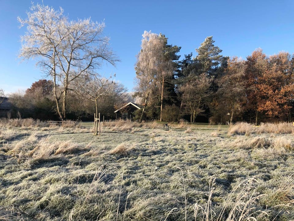 Day, Natural landscape, Winter