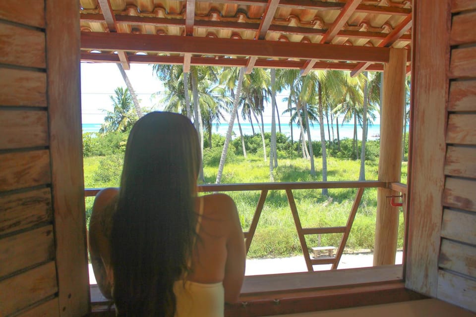 View (from property/room)