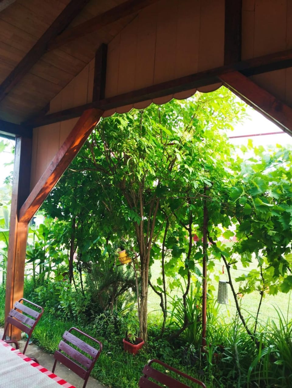Garden view