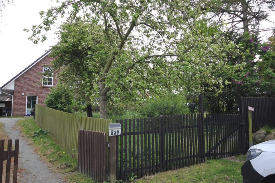 Property building, Garden view