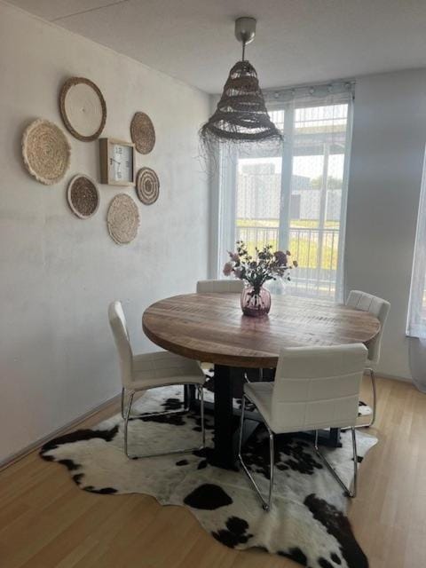 center City appartement Apartment in South Holland (province)