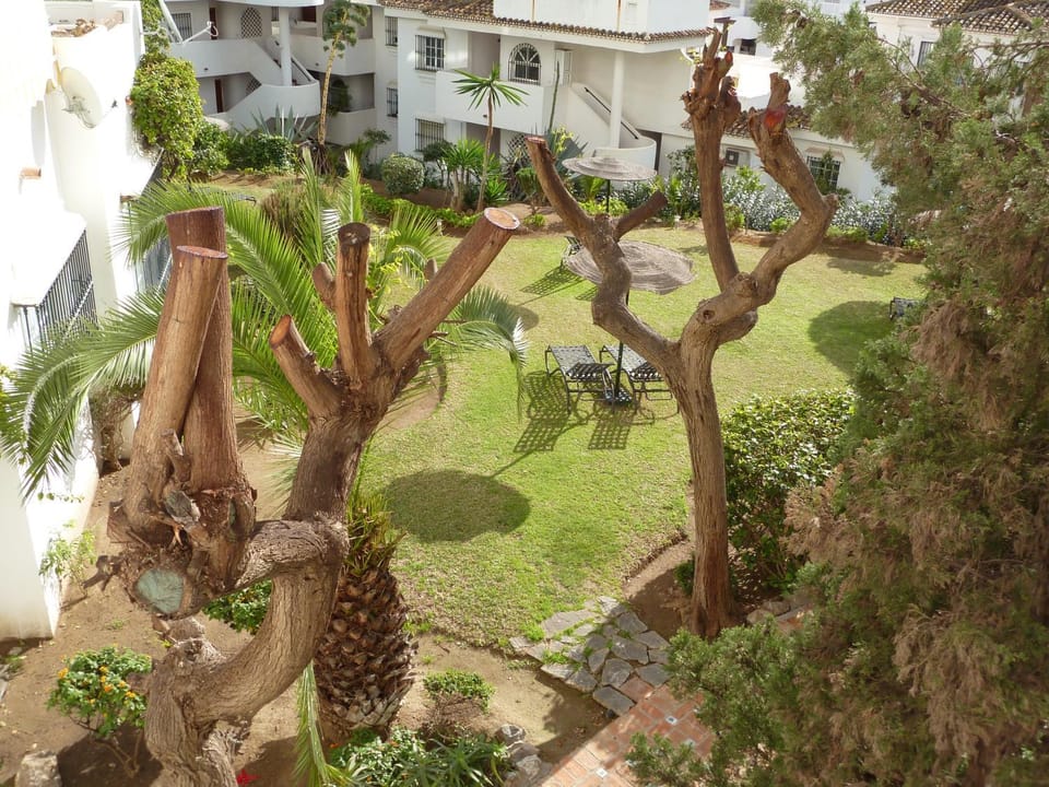 Off site, Garden