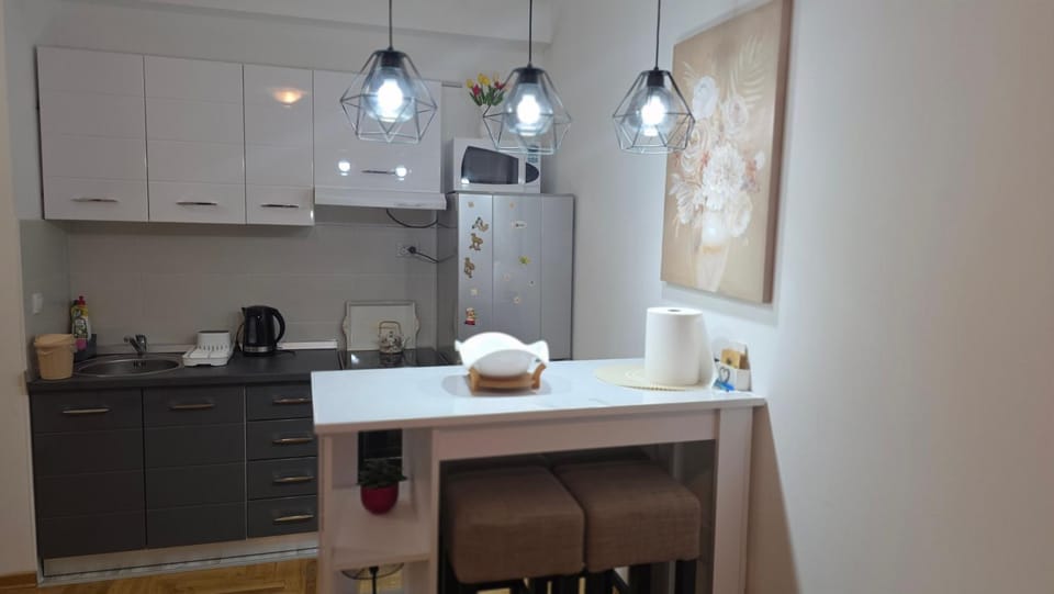 Fimiso Apartment in Belgrade