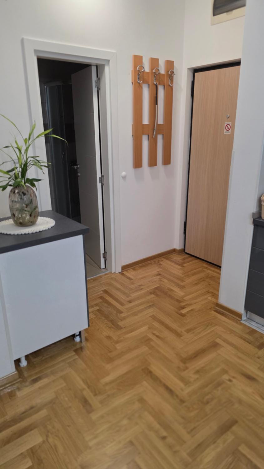 Fimiso Apartment in Belgrade