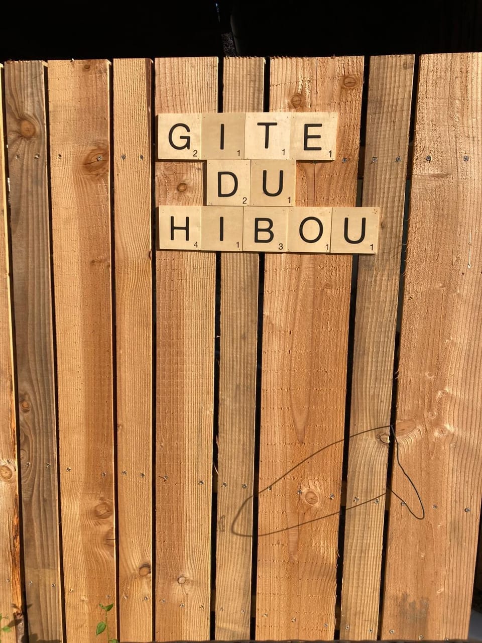 Text overlay