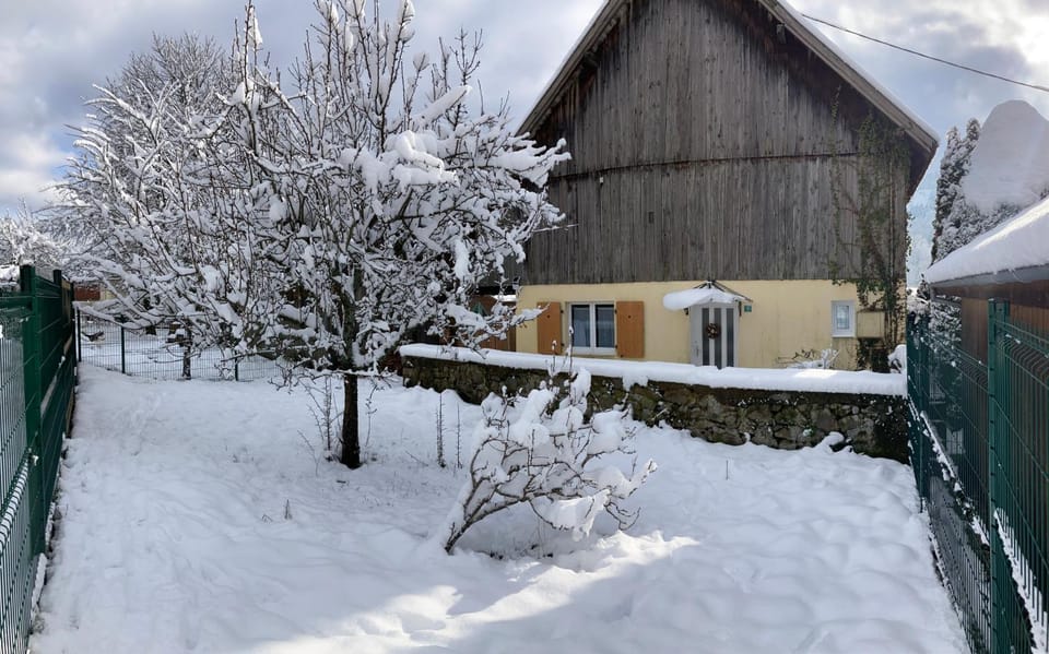 Winter, Garden, Garden view