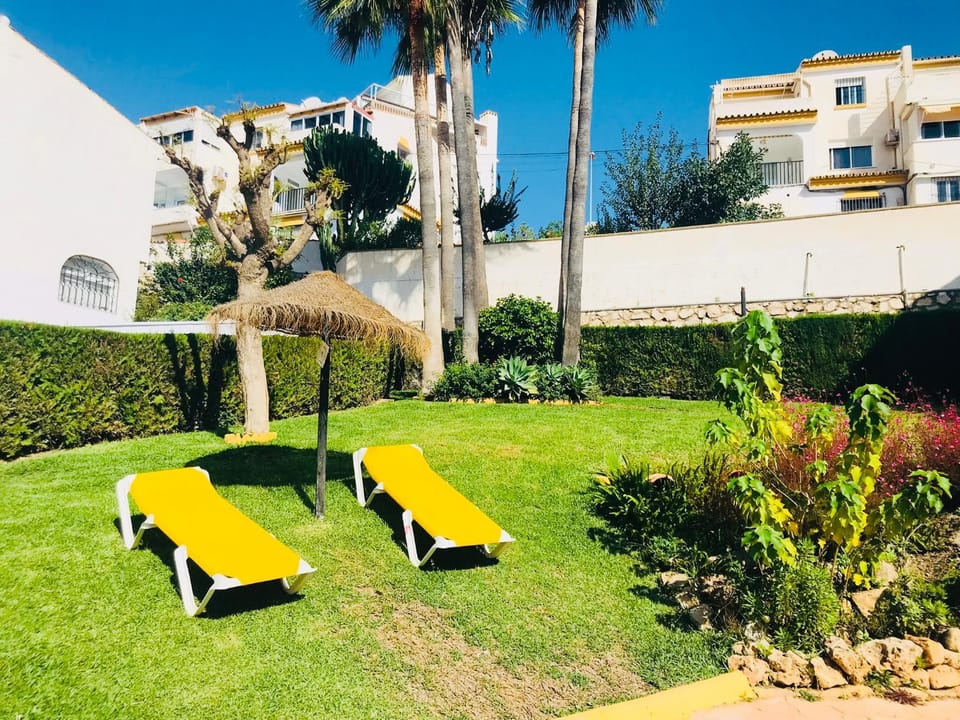 Garden, Garden view, sunbed