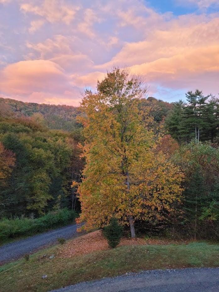 Pine Creek Cabin Cabin in Watauga