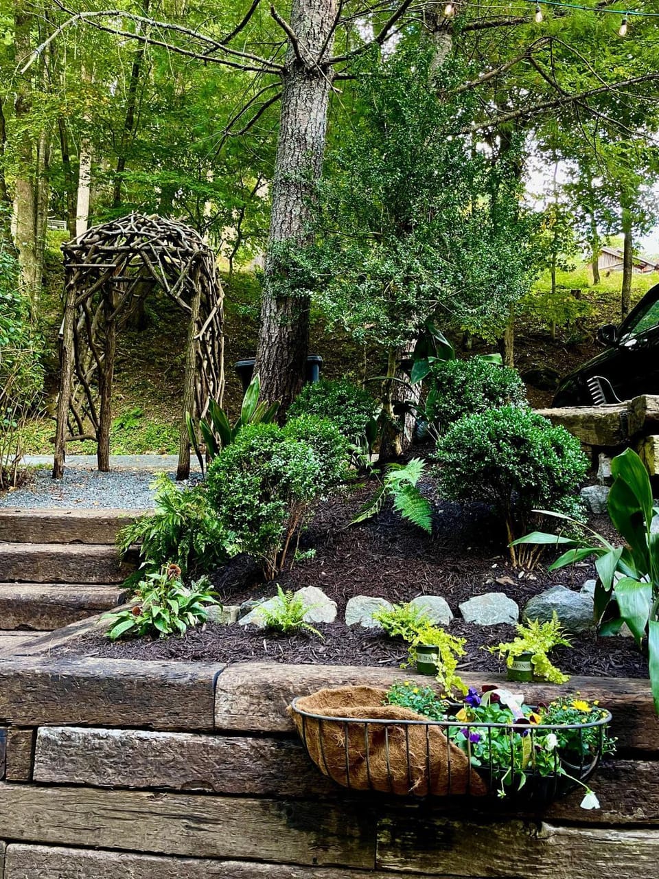 Anglers Cottage House in Watauga