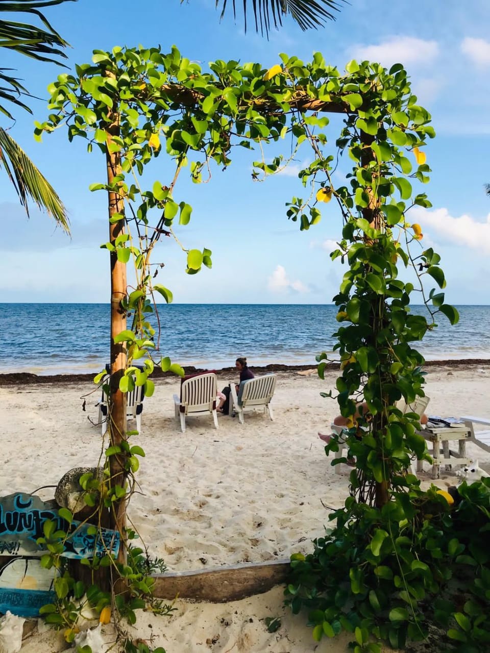 Natural landscape, Beach, Sea view, sunbed