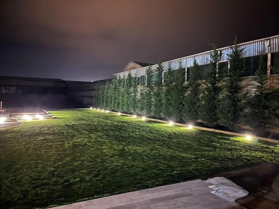 Night, Garden, Garden view
