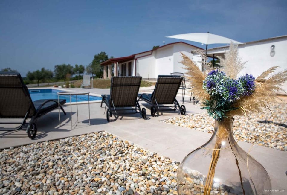 Summer, Swimming pool, sunbed