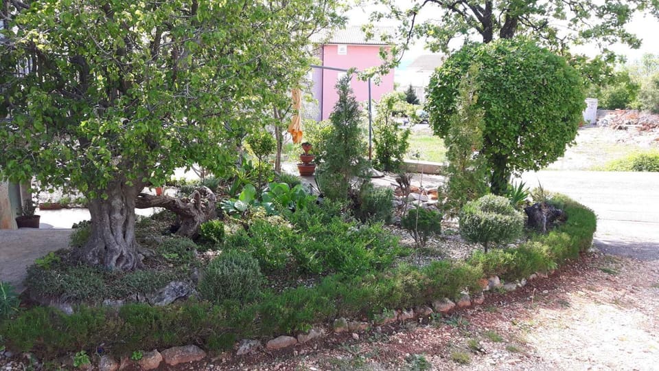Summer, Garden