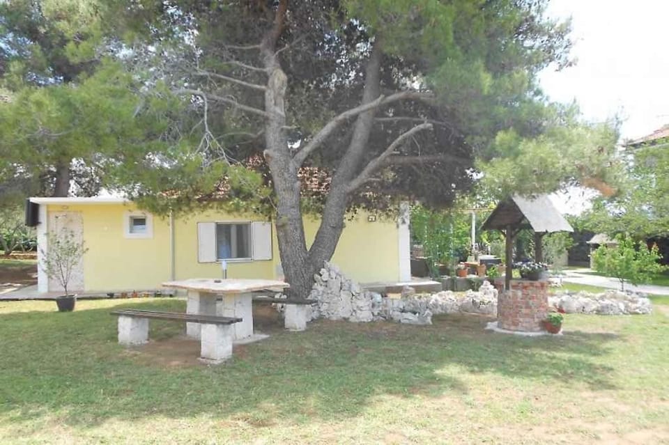 Property building, Summer, Garden