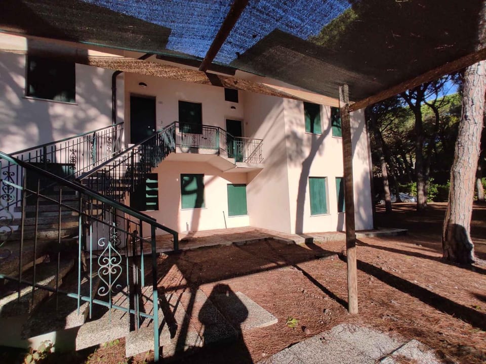 Property building, Summer