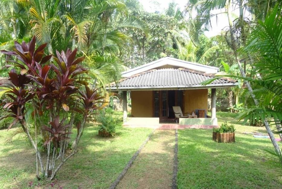 Mangrove villa - Yoga & Ayurveda Hotel in Western Province