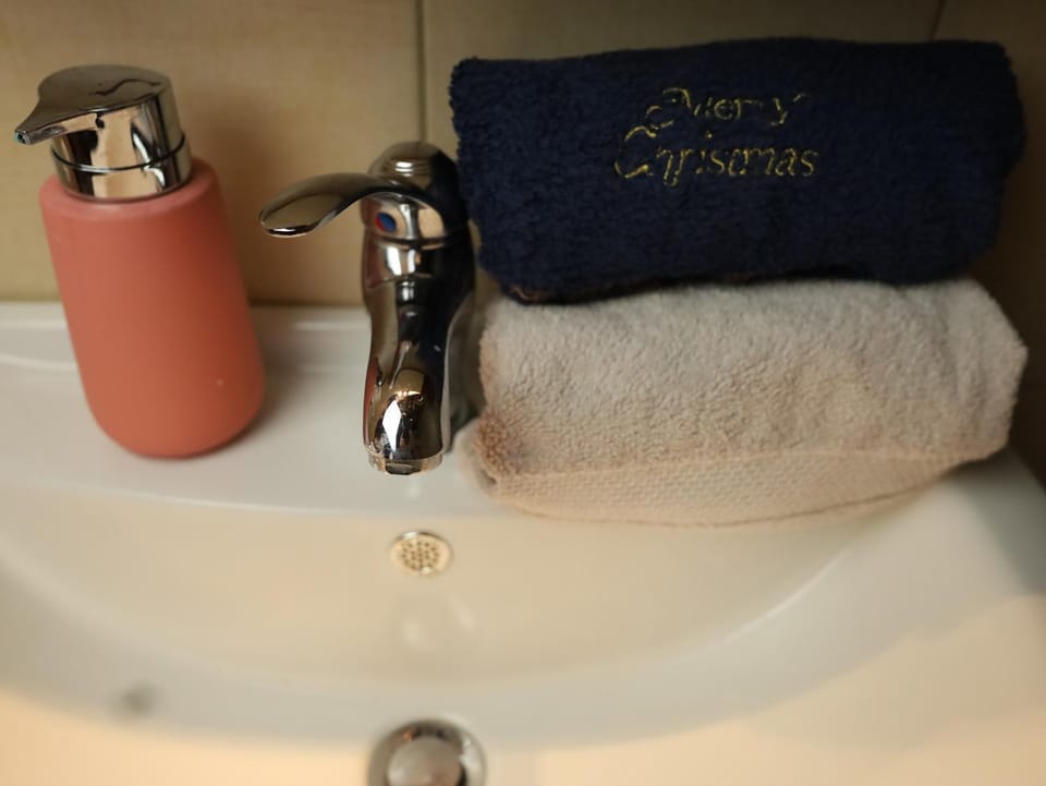 Bathroom, bidet, towels