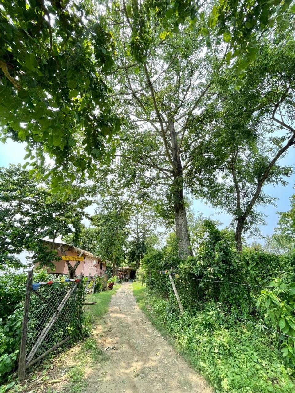 Bamby Chilling House - Feel The Nature - Sauraha , Chitwan Bed and Breakfast in Bagmati Province, Nepal