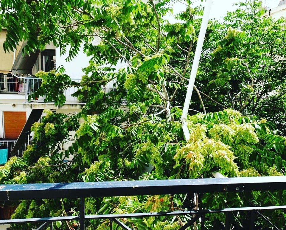 Balcony/Terrace, Garden view