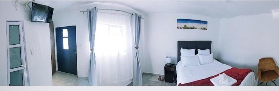 Bed, TV and multimedia, wardrobe