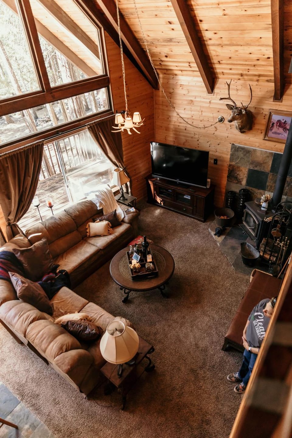 Library, TV and multimedia, Living room, fireplace