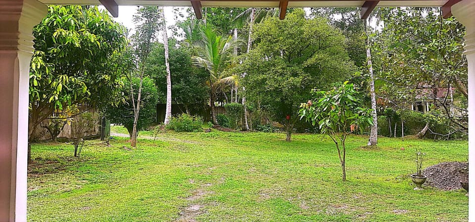 Garden, Garden, Garden view