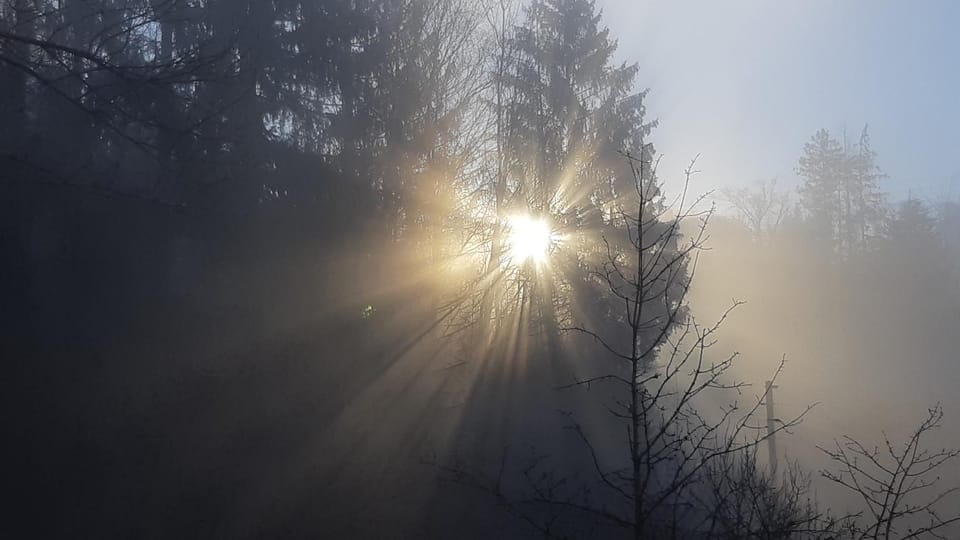 Garden view, Sunrise