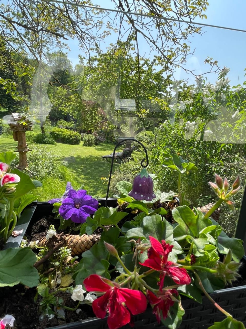 Garden, View (from property/room)