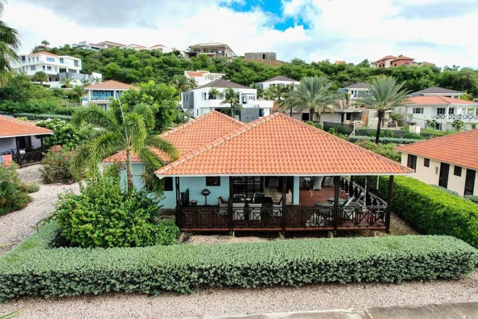 Property building, Day, Neighbourhood, Garden, Garden view