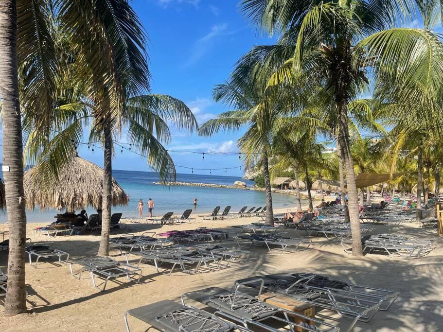Beach, Sea view, sunbed