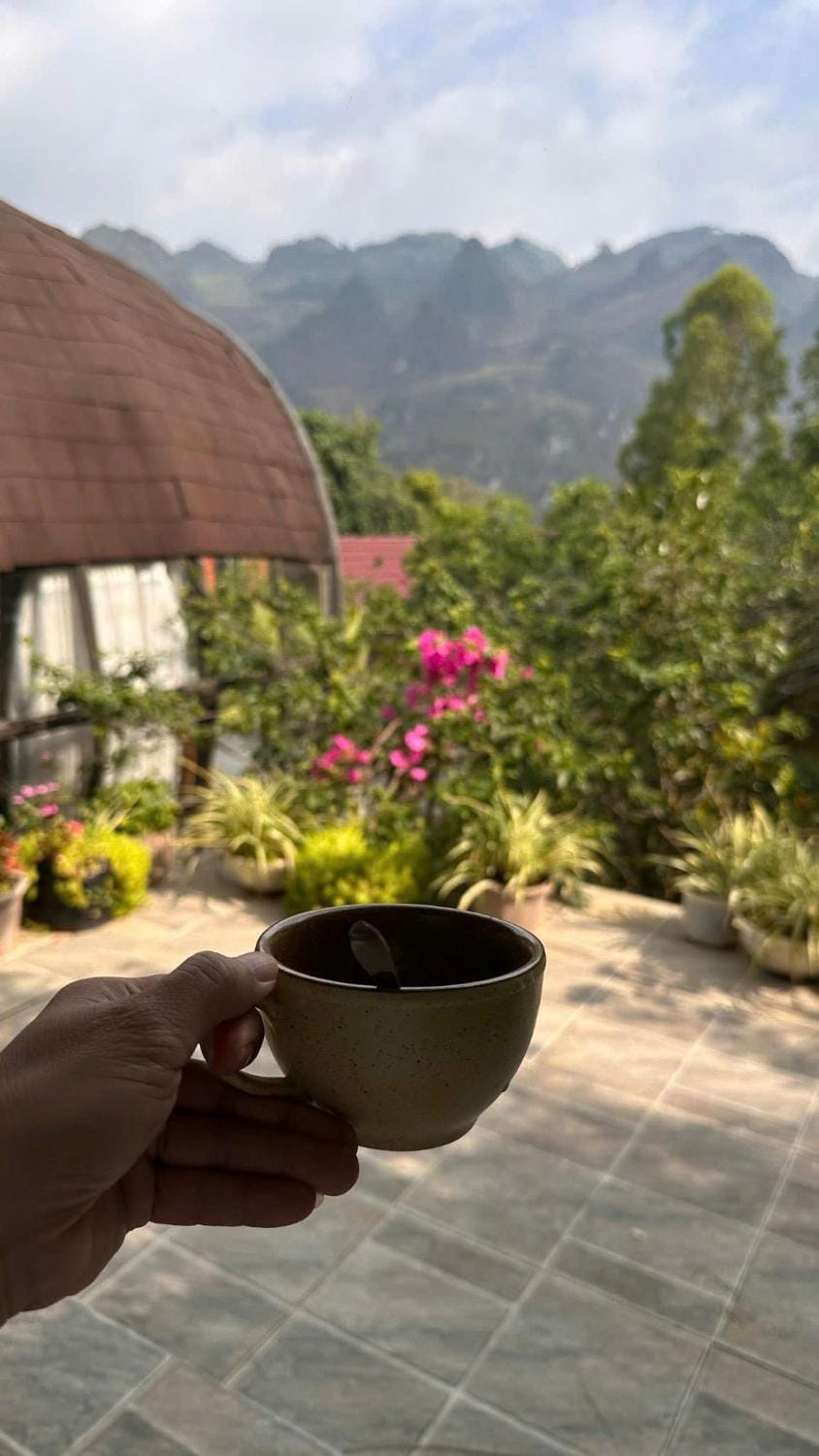 Natural landscape, Garden, Garden view, Mountain view