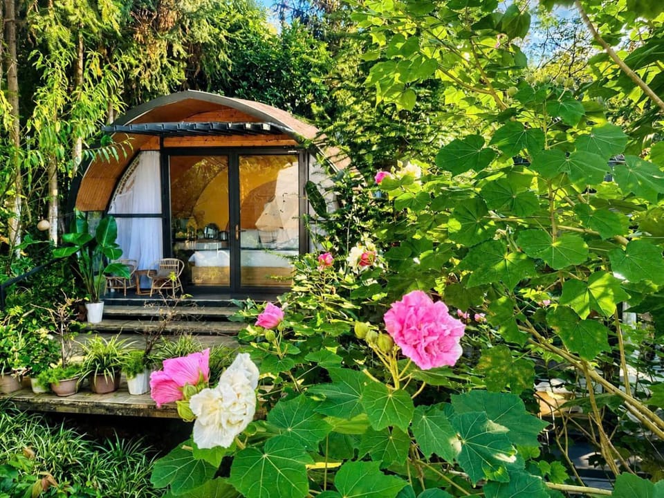 Property building, Day, Natural landscape, Garden view