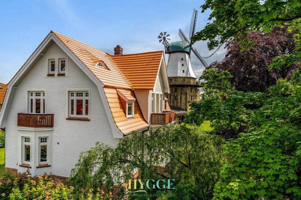 Property building, Day, Garden, Garden view